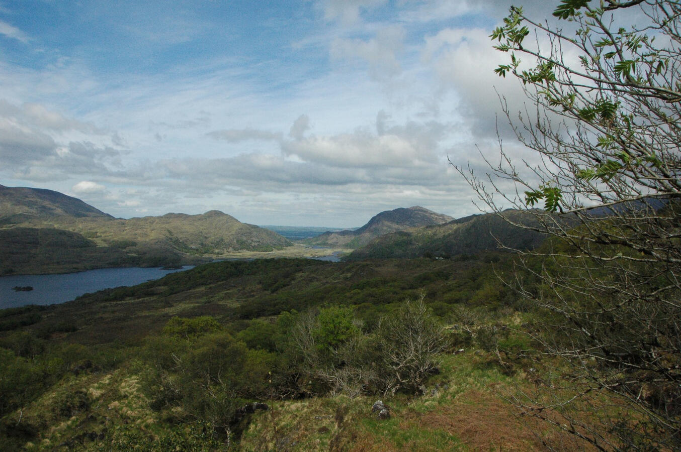 Killarney National Park | Silas Peters