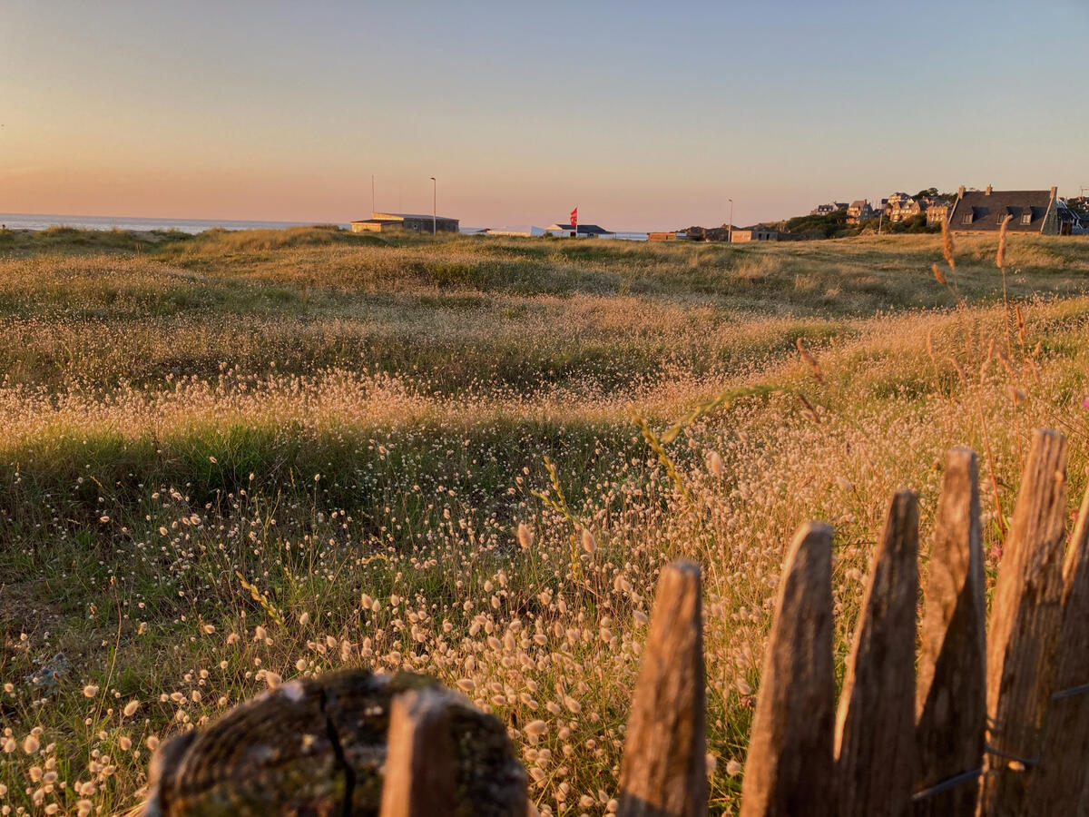 A field at sunset, with a wooden fence in the foreground. Shot in Brittany, France.