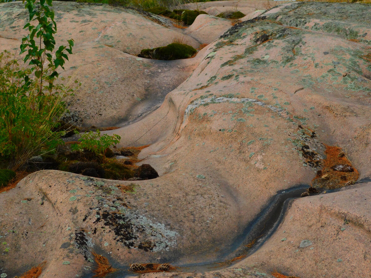 A rock formation, made by water running and carving curves. Shot in Ontario, Canada.