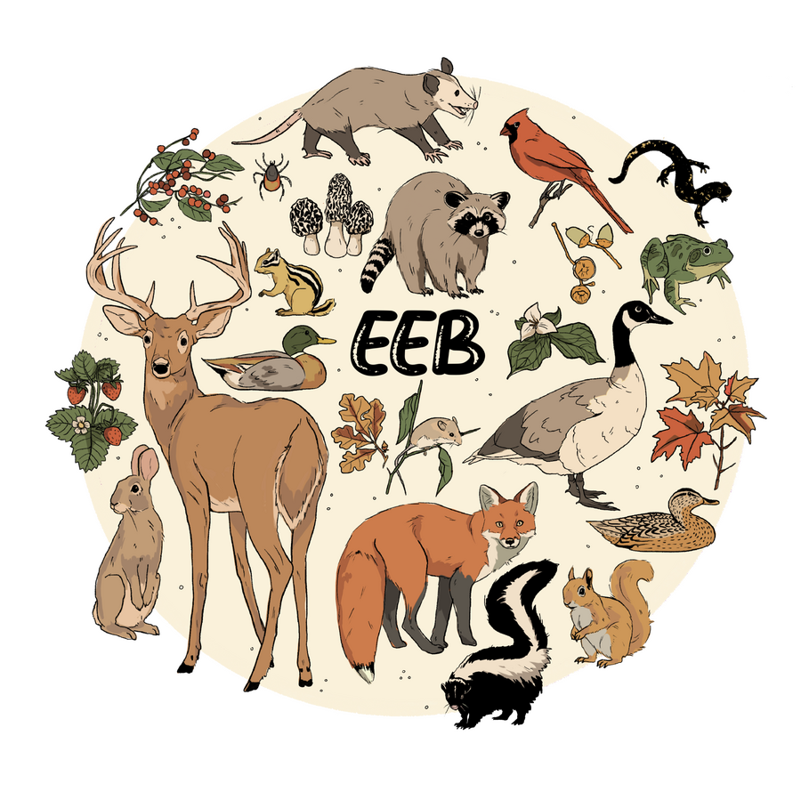 FIRST PLACE WINNER - CHRIS BOGLE