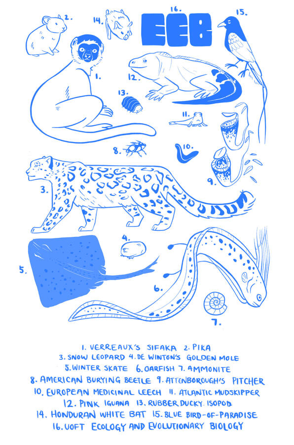 Jenny Yang - 2023/2024