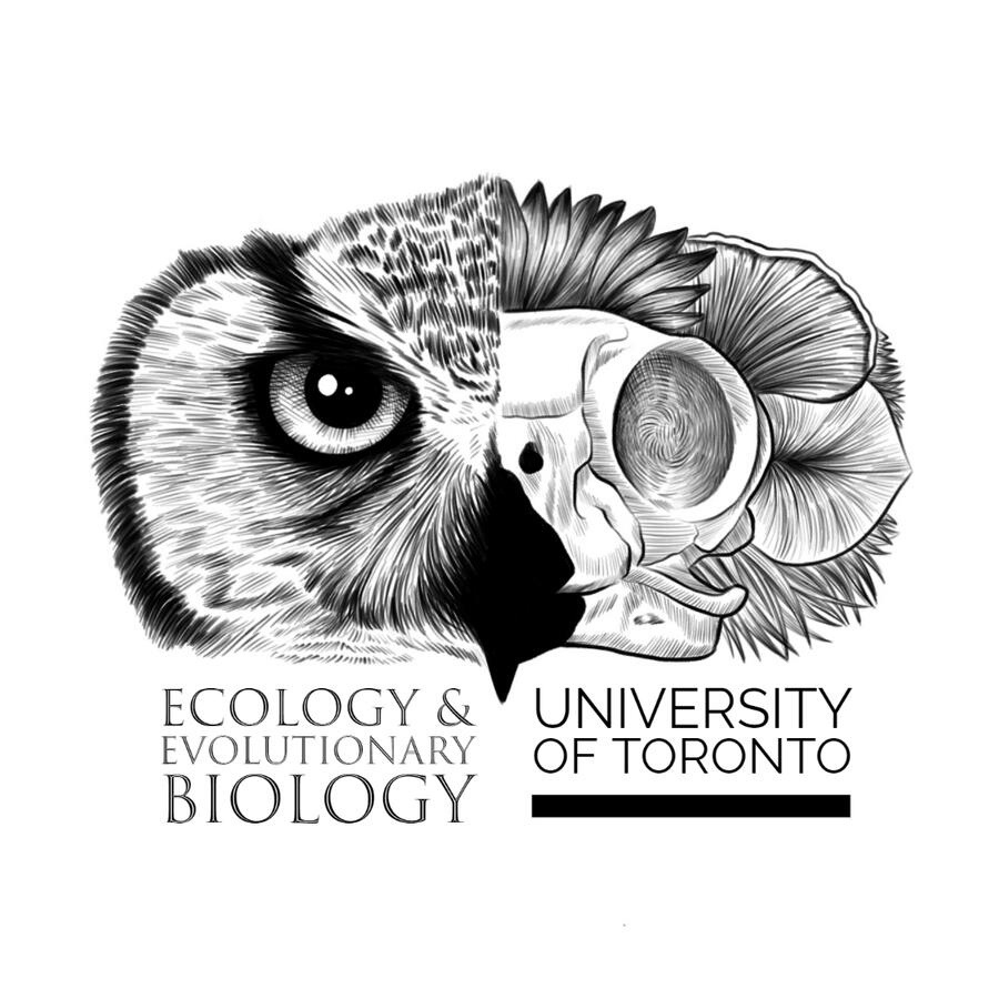 Owl - Aida Javan - 2022/2023