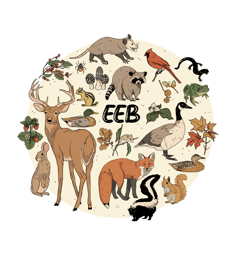 Chris Bogle - 2024/2025