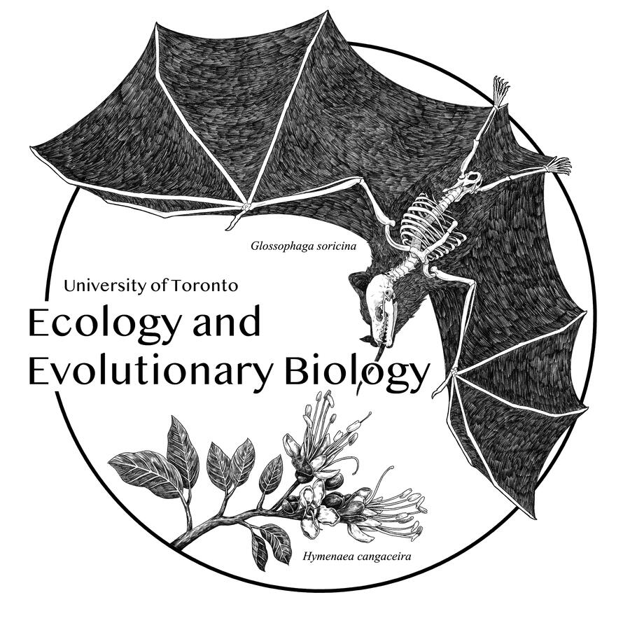 Bat &amp; Flower - Michelle Su - 2022/2023